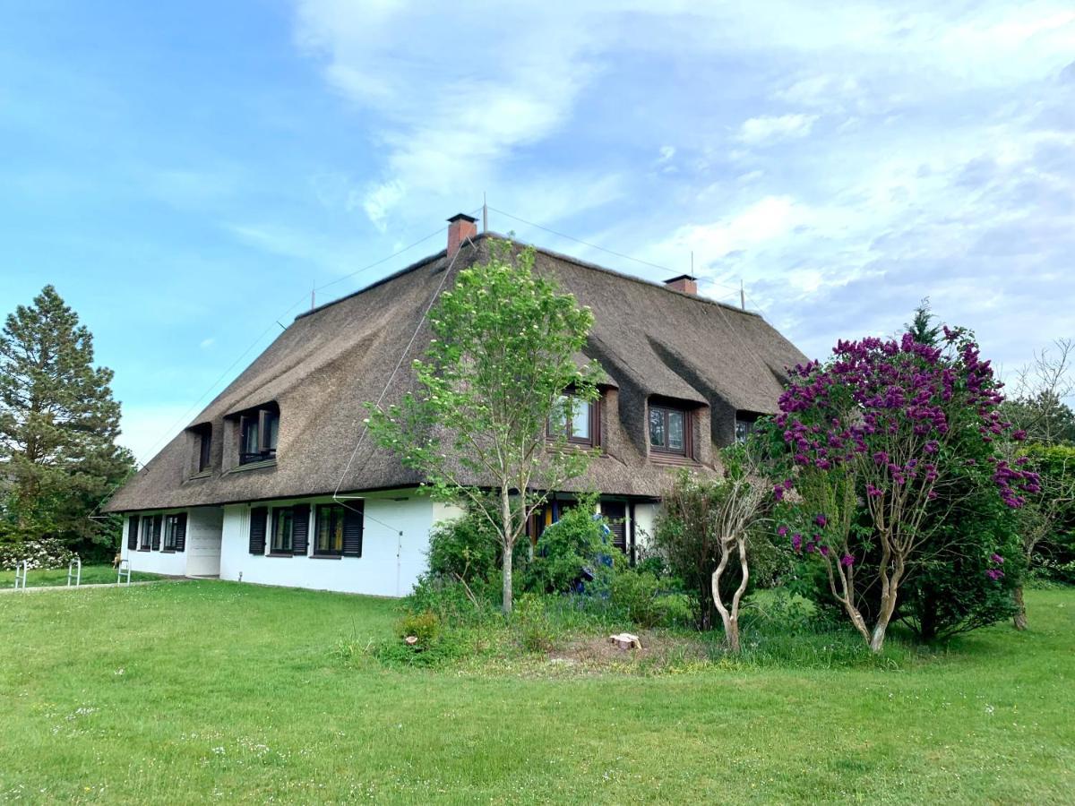 Ferienwohnung "Strandschnecke" Im Haus Hallig Oland Sankt Peter-Ording Exteriér fotografie